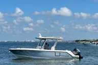 Gulfport Private Snorkeling and Dolphin Tour 4.5 hr thumbnail 6