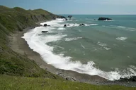San Francisco Redwoods & California Coast Day Trip thumbnail 3