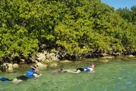 Miami Island Snorkeling by SUP or Kayak thumbnail 5