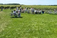 Long Island Wine Tour Pindar Winery thumbnail 5