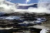 Yellowstone Winter Wildlife Private Tour thumbnail 4