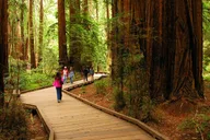 San Francisco Muir Woods and Marin Headlands Tour thumbnail 4
