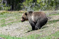 Grand Teton National Park Private Tour thumbnail 4