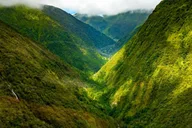 Hilo Helicopter Tour of Hamakua Coast and Valleys thumbnail 3