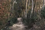 Fullerton Electric Bike Tour thumbnail 2