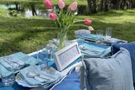 Tallahassee Picnic at Pedrick Pond Park thumbnail 5