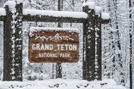 Grand Teton Winter Wildlife Tour thumbnail 1