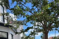 Charleston Culinary Walking Tour thumbnail 2