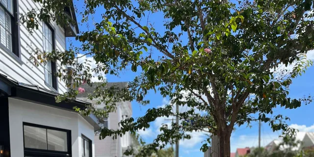 Charleston Culinary Walking Tour - Image 2