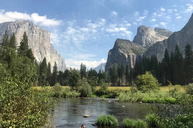 Yosemite Valley & Glacier Point Tour - Image 2