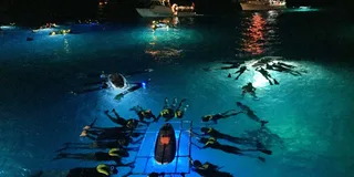 Kailua Kona Night Manta Ray Snorkel Adventure