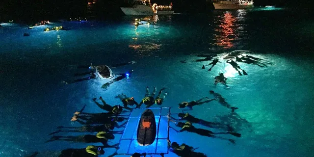 Kailua Kona Night Manta Ray Snorkel Adventure - Image 1