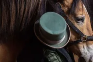 New York Central Park Horse-Drawn Carriage Ride thumbnail 2