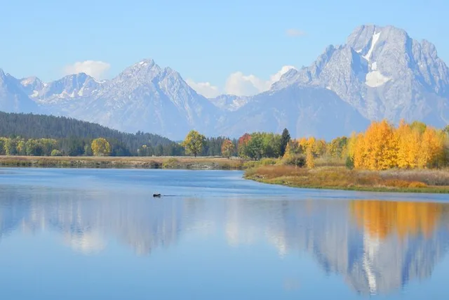 Jackson Grand Teton Tour with Picnic Dinner 6 hr - Image 5