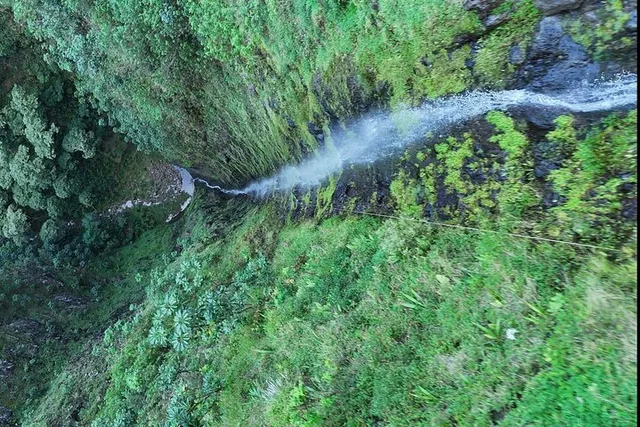 Oahu Canyon Rappel and Hike Expedition - Image 4