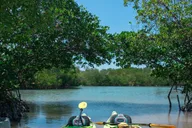 Miami Oleta River State Park Eco Paddle Tour 2 hr thumbnail 1