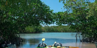 Miami Oleta River State Park Eco Paddle Tour 2 hr