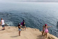 San Diego Day Trip from Los Angeles thumbnail 3