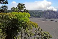 Hilo Volcano Tour from Oahu thumbnail 2