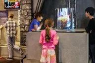 Chicago Sports Museum Entry Ticket thumbnail 5