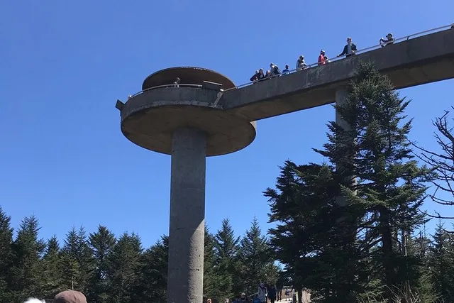 Clingmans Dome Hike - Image 1