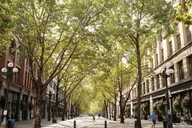 Seattle Walking Tour with a Guide 2 hr thumbnail 1
