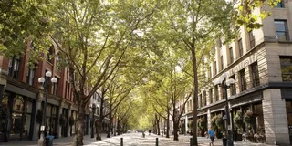 Seattle Walking Tour with a Guide 2 hr