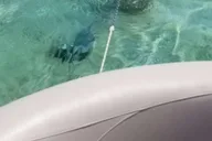 Destin Pontoon Boat Rental 8 hr thumbnail 5