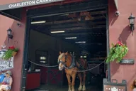 Charleston Historic Horse and Carriage Tour thumbnail 4