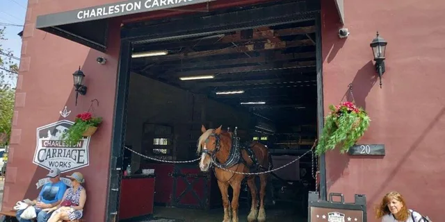 Charleston Historic Horse and Carriage Tour - Image 4