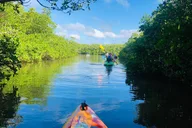 Siesta Key Eco Tour thumbnail 2