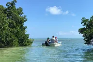 Key West Walking and Glass Bottom Boat Tour thumbnail 1