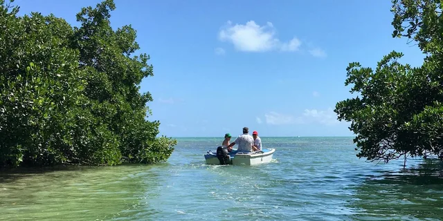 Key West Walking and Glass Bottom Boat Tour - Image 1