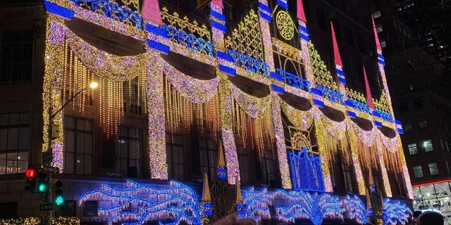 New York Holiday Lights Tour with Rockefeller Tree - Image 3