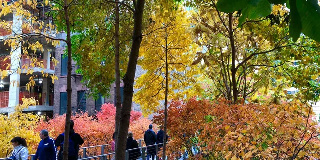 New York City High Line Walking Tour - Image 6