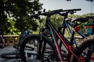 Roanoke Mountain Bike Tour from The Star thumbnail 4