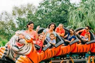 Tampa Zoo and Aquarium Combo Ticket thumbnail 2