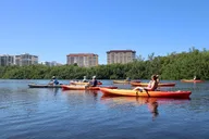 Sarasota Kayak Rentals and Wildlife Watch thumbnail 4