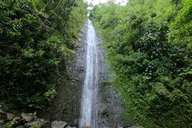Honolulu Waterfall Hike and Downhill Bike Tour thumbnail 1