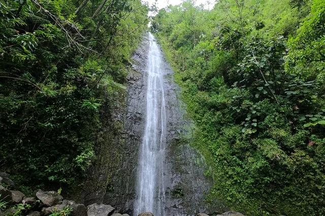 Honolulu Waterfall Hike and Downhill Bike Tour - Image 1