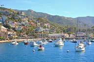 Avalon Private Tour from Catalina Island thumbnail 2