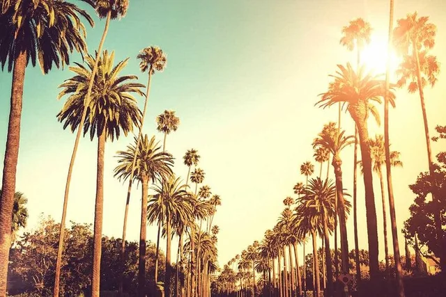 Los Angeles City Tour 7 hr - Image 1