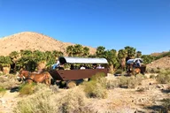 Palm Desert Covered Wagon Adventure & BBQ thumbnail 2