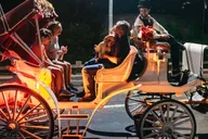 New York City Carriage Ride: Central Park & Rockefeller thumbnail 4