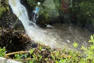 Maui Road to Hana Tour with Pickup and Lunch thumbnail 4