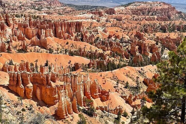 Las Vegas Bryce Canyon & Zion National Park Tour - Image 5