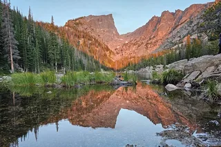 Rocky Mountain National Park Wildlife Hiking Tour