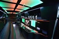 Party Bus Sprinter Limo Tour thumbnail 5