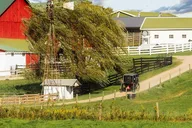 Lancaster Amish Experience Tour 3 hr thumbnail 6
