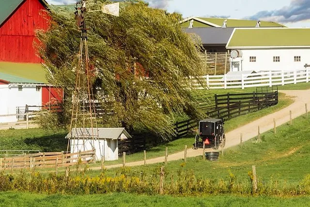 Lancaster Amish Experience Tour 3 hr - Image 6